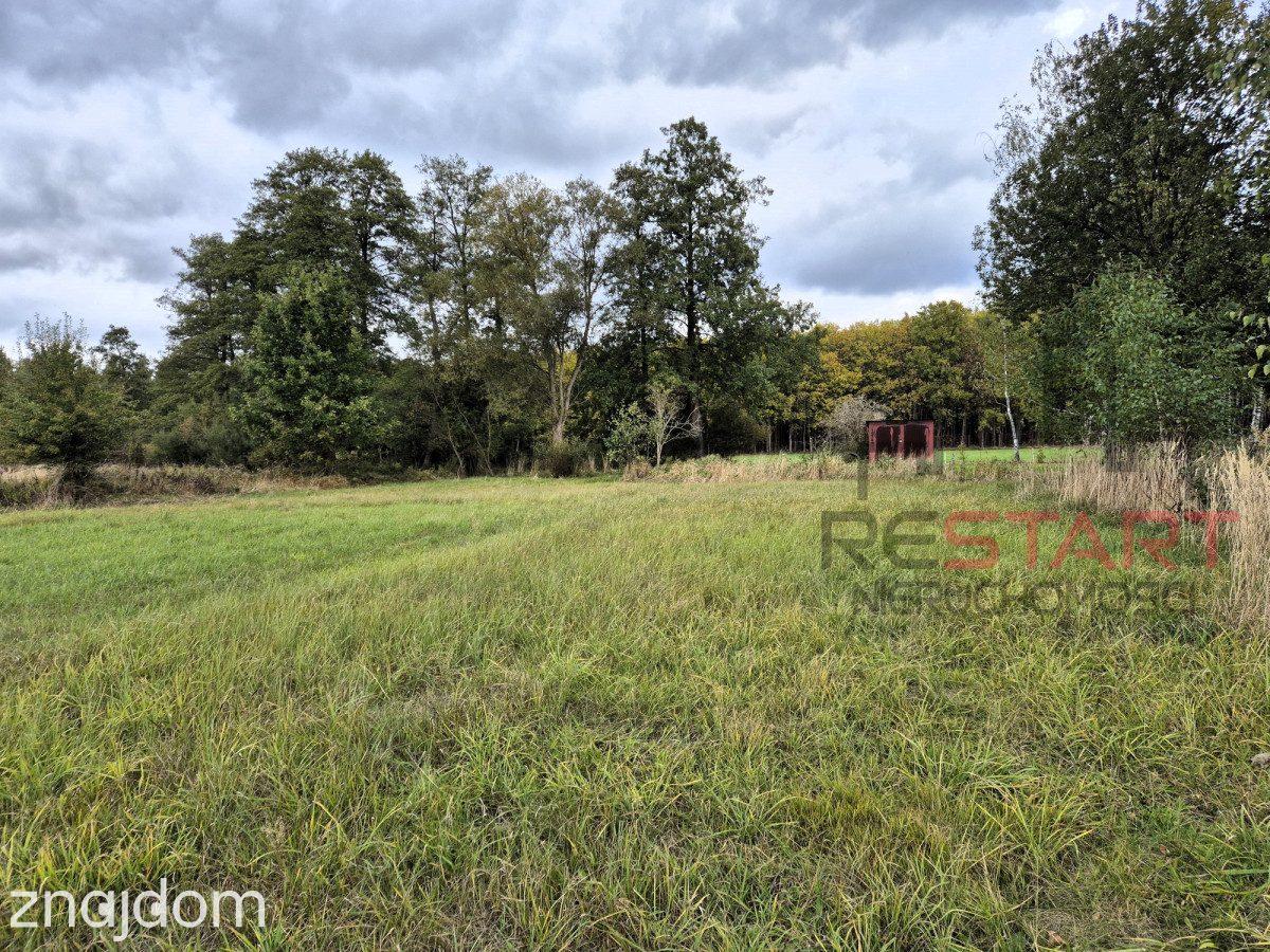 Kozerki 7 800 m² – możliwość podziału na 3 działki - zdjęcie 3