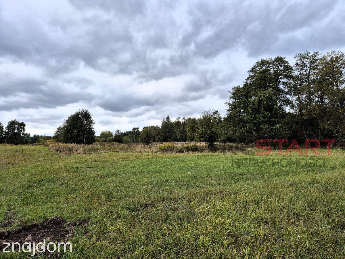 Kozerki 7 800 m² – możliwość podziału na 3 działki - zdjęcie 5