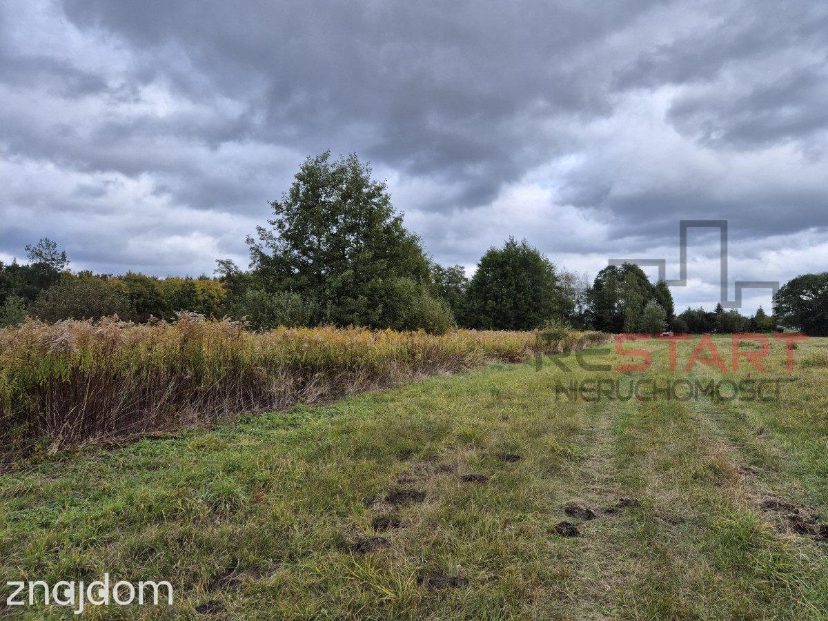 Kozerki 7 800 m² – możliwość podziału na 3 działki - zdjęcie 6