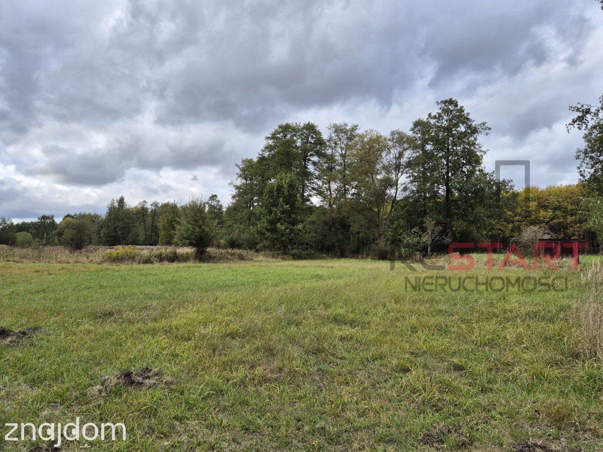 Kozerki 7 800 m² – możliwość podziału na 3 działki - zdjęcie 8