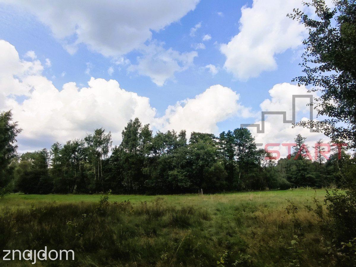 Piękna działka przy lesie – 4400 m² - zdjęcie 2