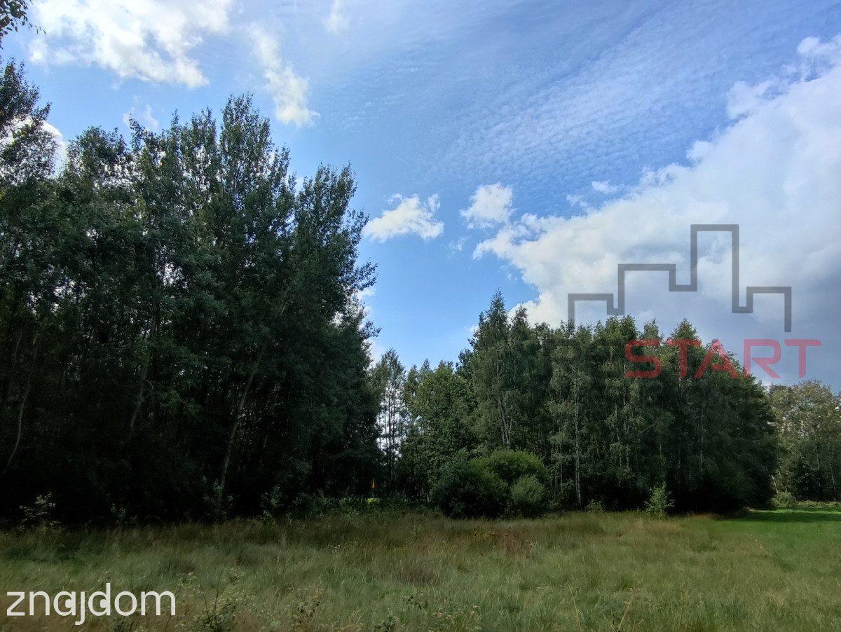 Piękna działka przy lesie – 4400 m² - zdjęcie 3