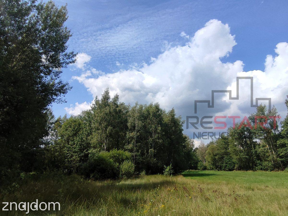 Piękna działka przy lesie – 4400 m² - zdjęcie 4