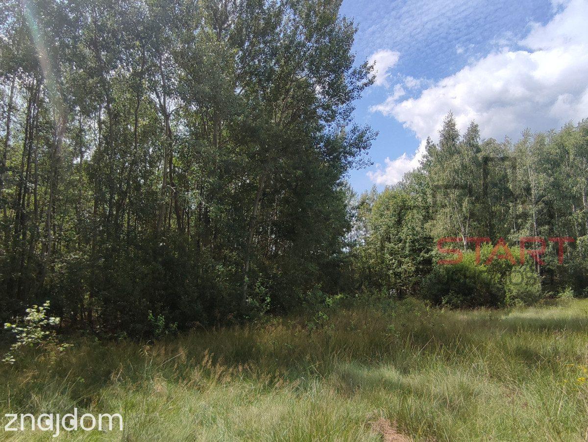 Piękna działka przy lesie – 4400 m² - zdjęcie 6