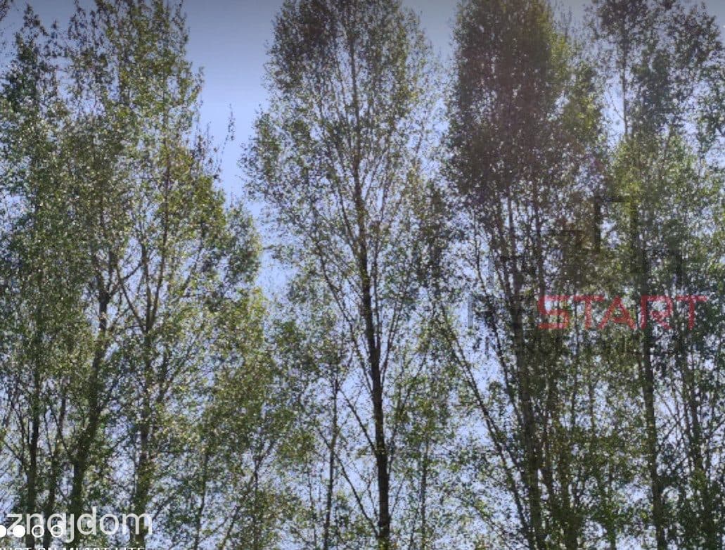 działka ROD Siekierki 630 m2 - 95000 PLN