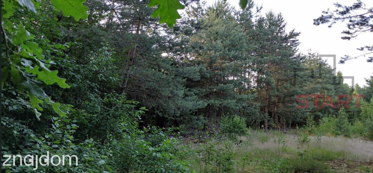 działka dom lub bliźniak Prace Duże 297 tys. - zdjęcie 3
