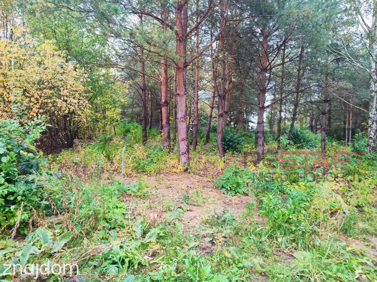 działka pod bliźniaki w Łosiu 3000 m2 - zdjęcie 6