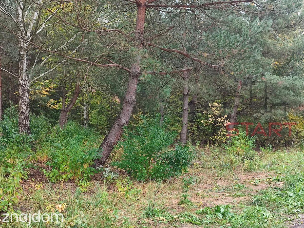 działka pod bliźniaki w Łosiu 3000 m2 - zdjęcie 7