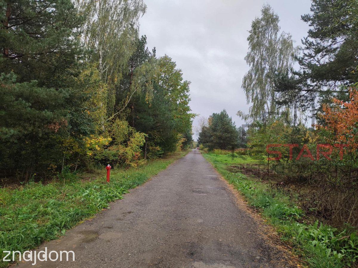 działka pod bliźniaki w Łosiu 3000 m2 - zdjęcie 8