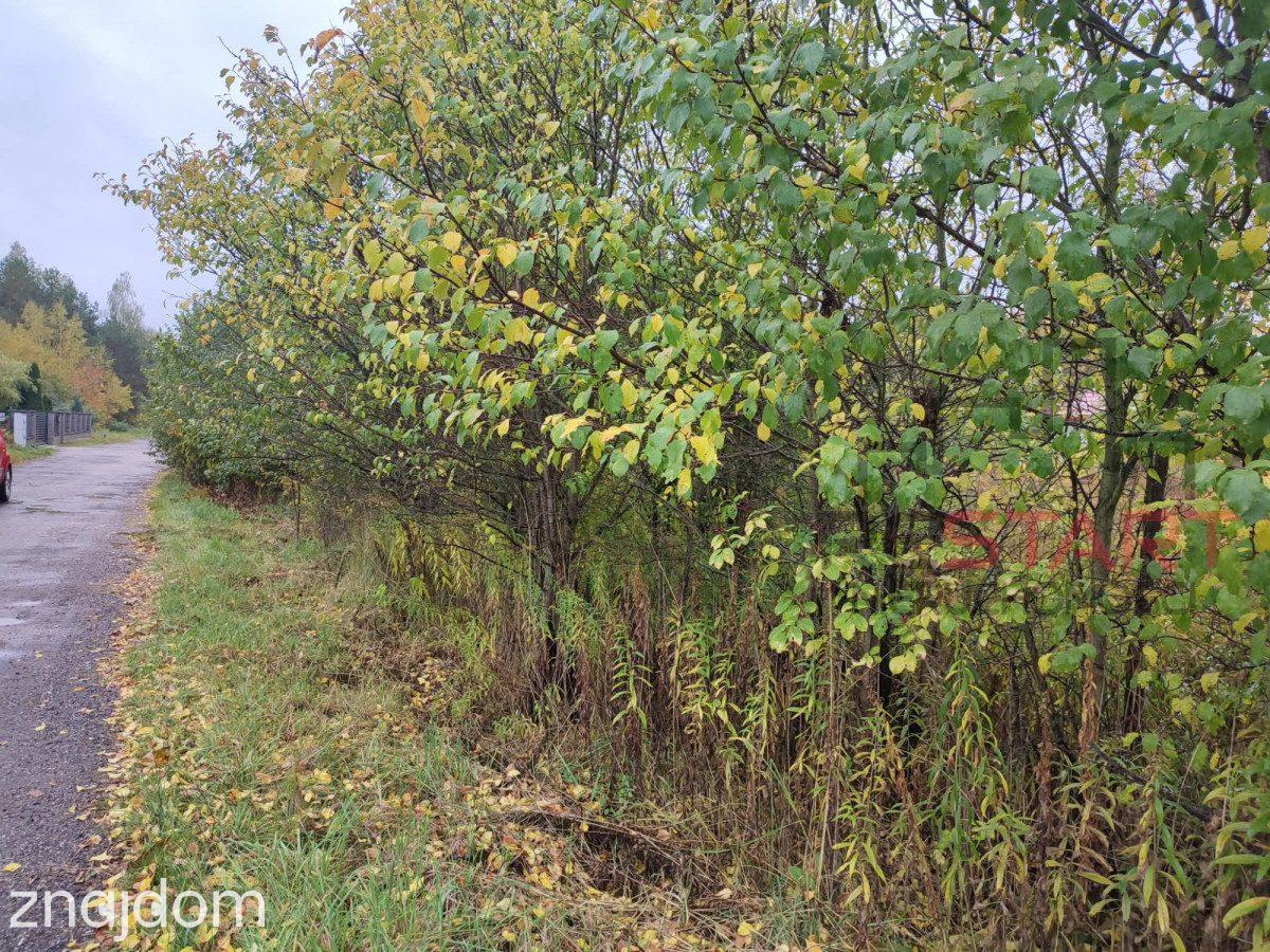 działka pod bliźniaki w Łosiu 3000 m2 - zdjęcie 5