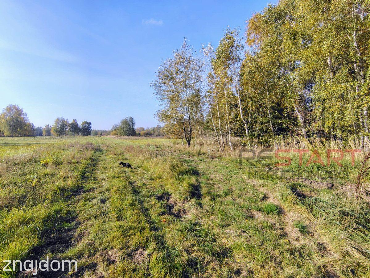Kozerki 7 800 m² – możliwość podziału na 3 działki