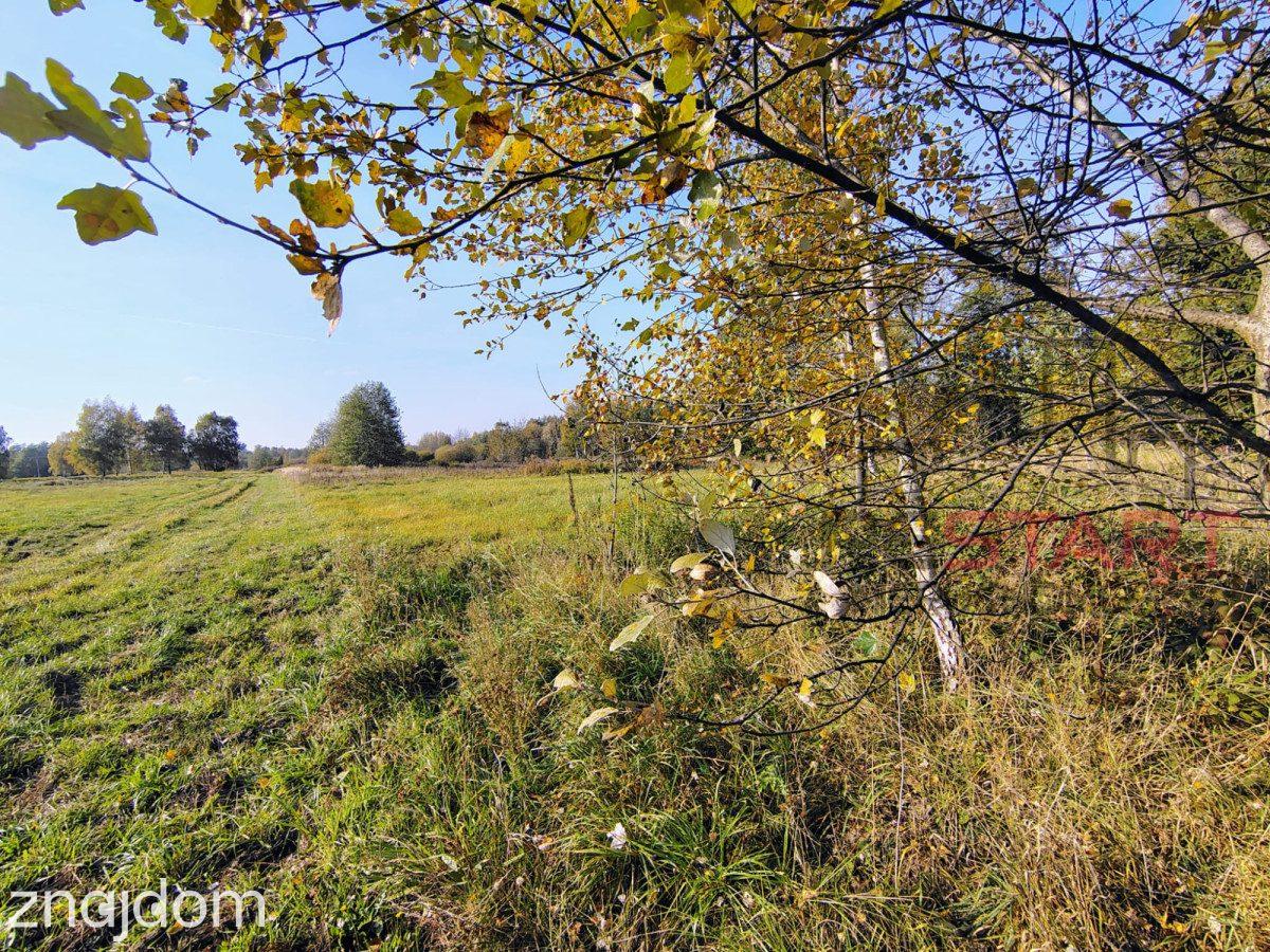 Kozerki 7 800 m² – możliwość podziału na 3 działki - zdjęcie 2