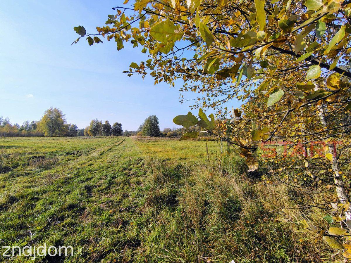 Kozerki 7 800 m² – możliwość podziału na 3 działki - zdjęcie 3