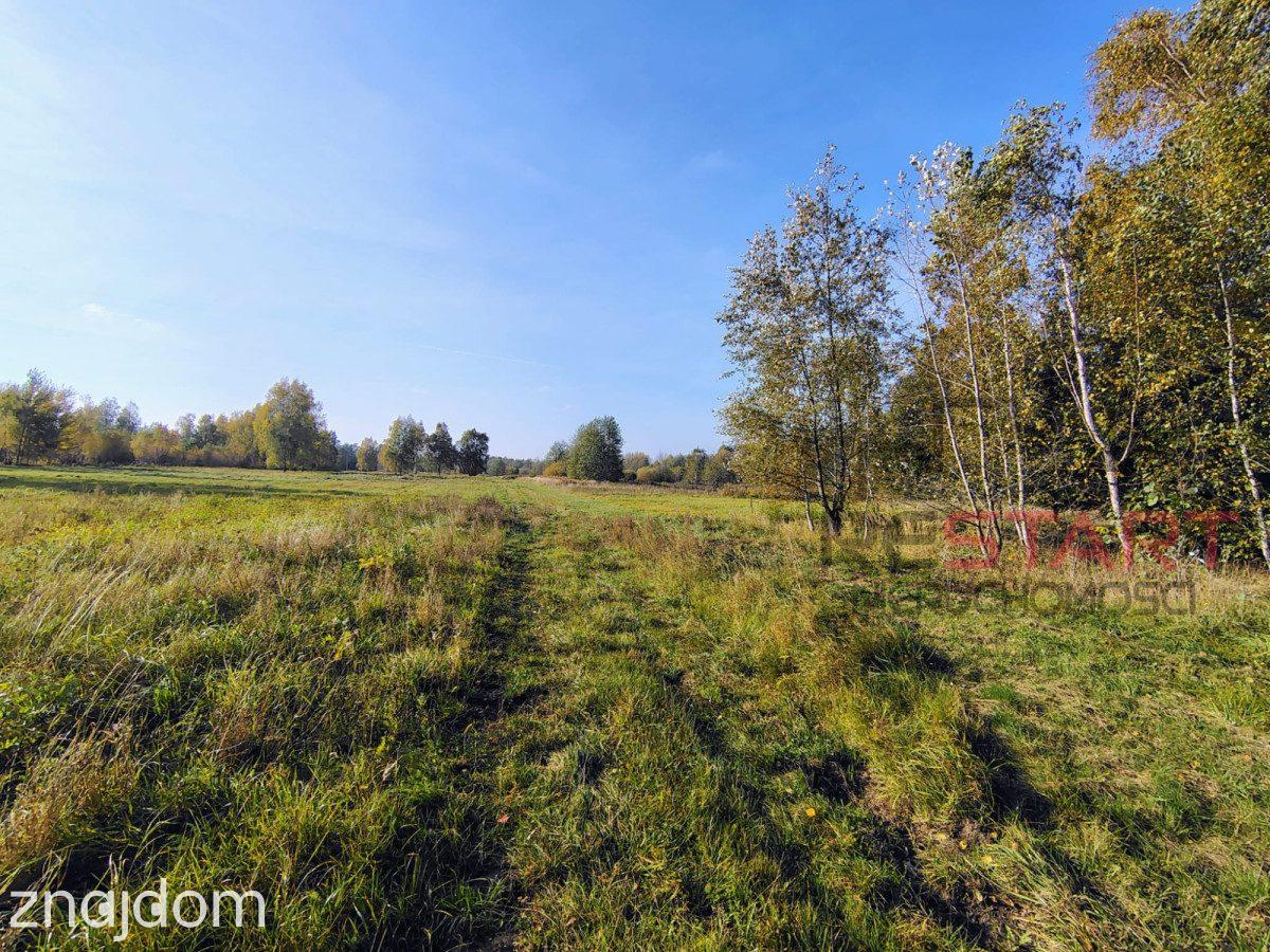 Kozerki 7 800 m² – możliwość podziału na 3 działki - zdjęcie 4