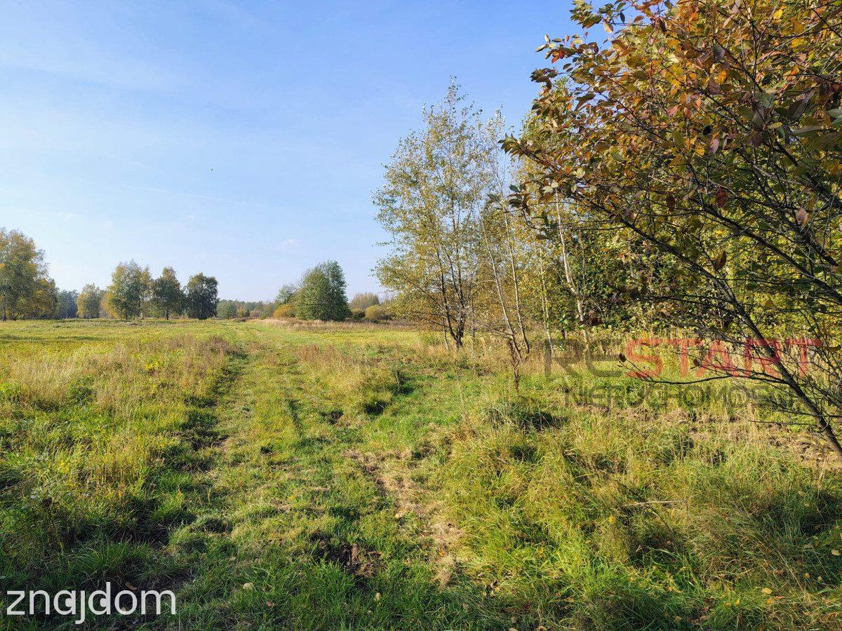Kozerki 7 800 m² – możliwość podziału na 3 działki - zdjęcie 5