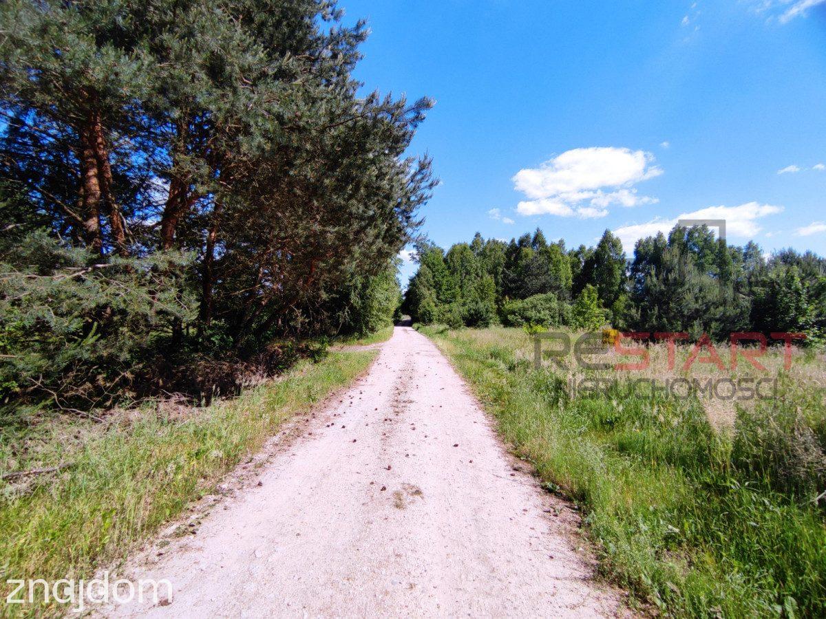 Piękna działka budowlana z lasem. - zdjęcie 4