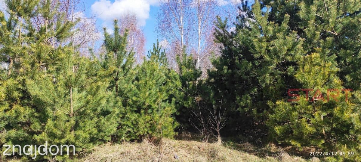 Sielska okolica. - zdjęcie 4