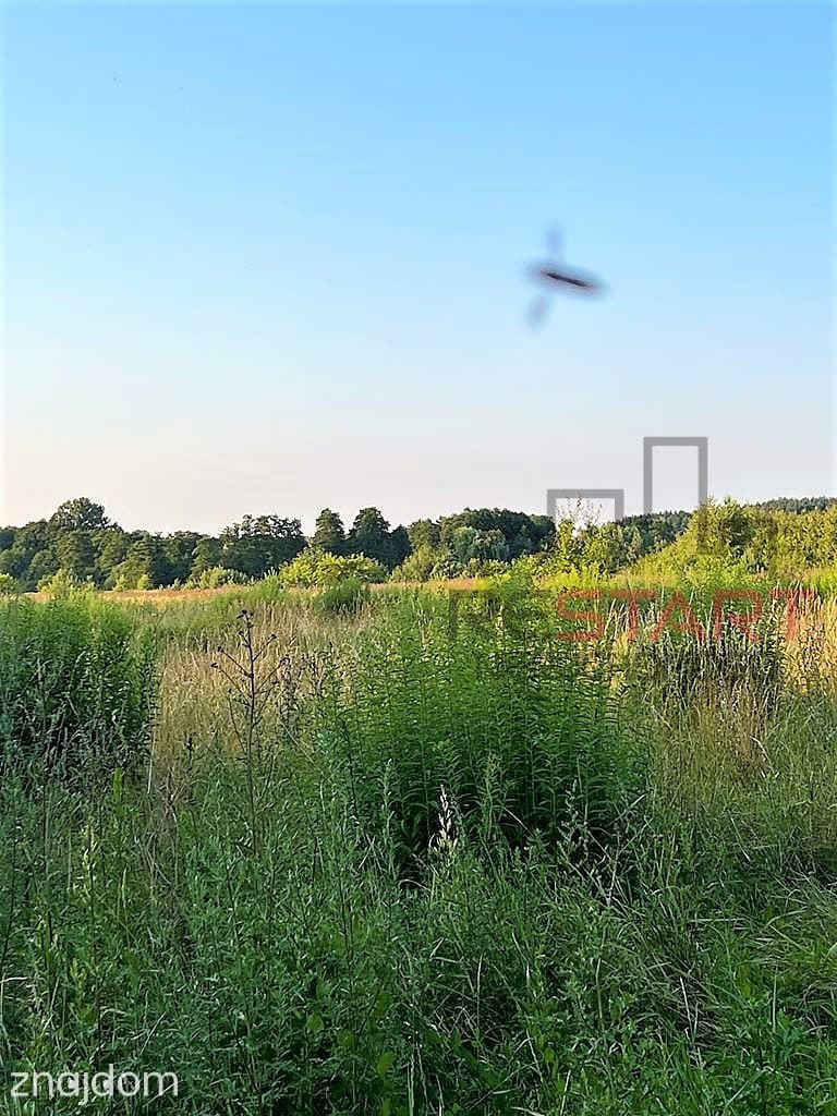 Sielska lokalizacja - zdjęcie 3