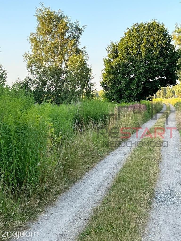 Sielska lokalizacja - zdjęcie 4