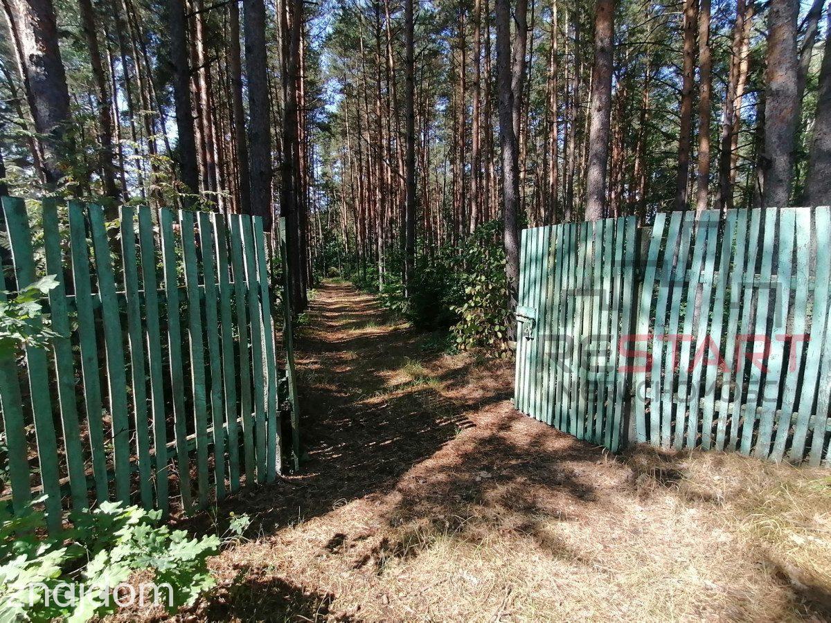 Działka budowlana z lasem, pod rezydencje. - zdjęcie 9