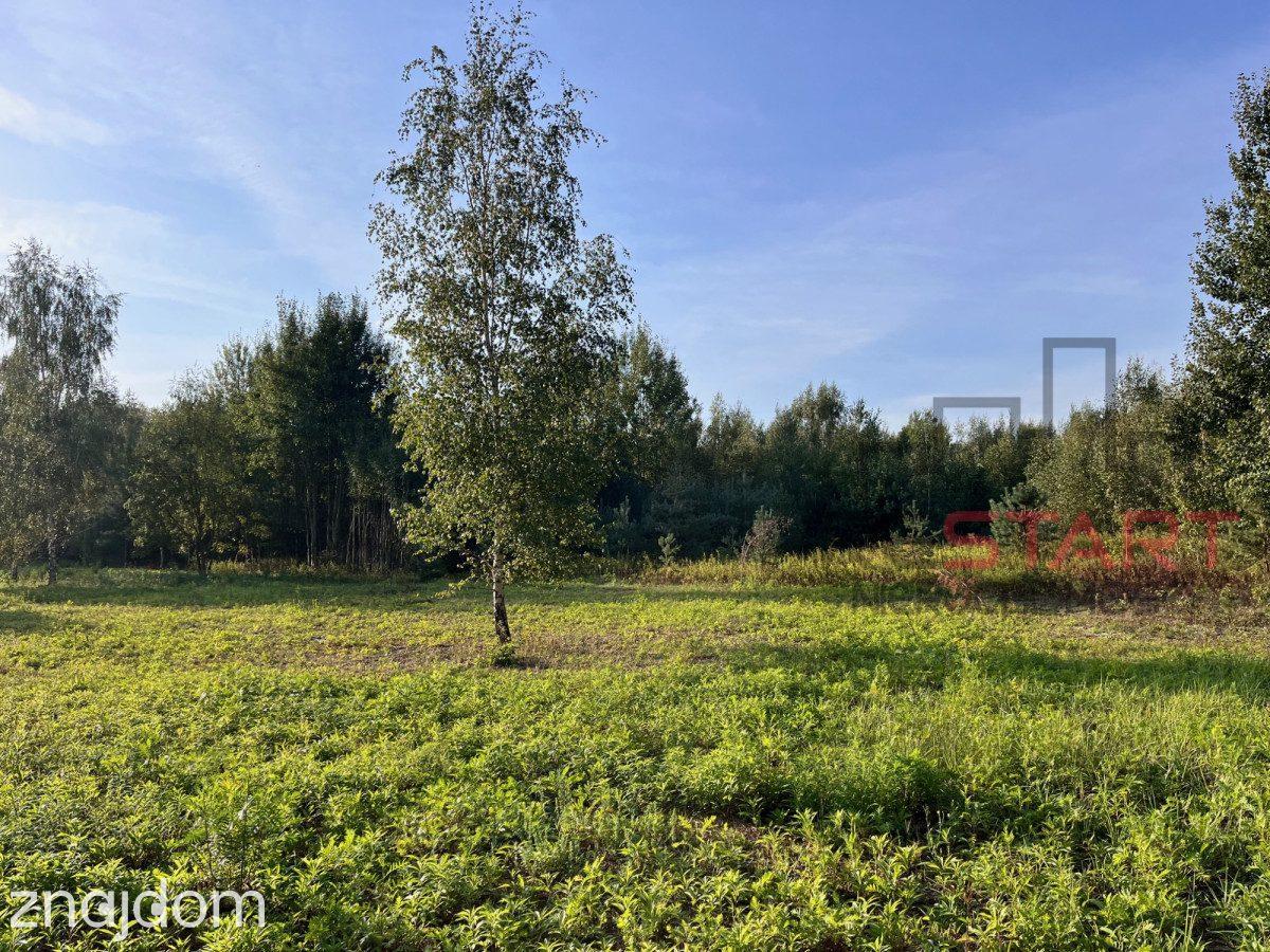 Działka rolna 2,84ha w Nosach, koło Ojrzanowa. - zdjęcie 3