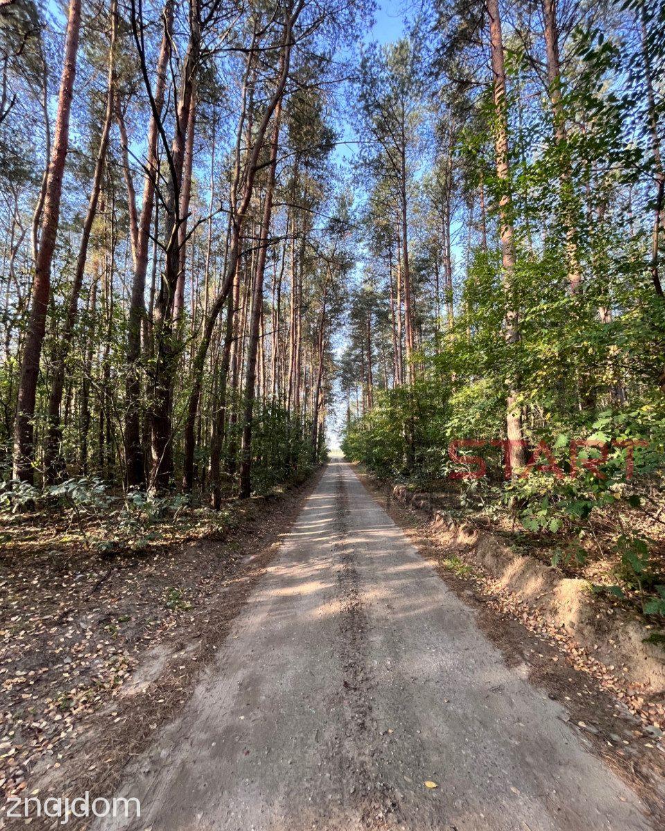 Działka rolna 2,84ha w Nosach, koło Ojrzanowa. - zdjęcie 9