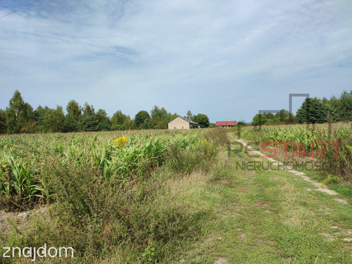 Na sprzedaż – działka siedliskowa 6,73 ha - zdjęcie 8