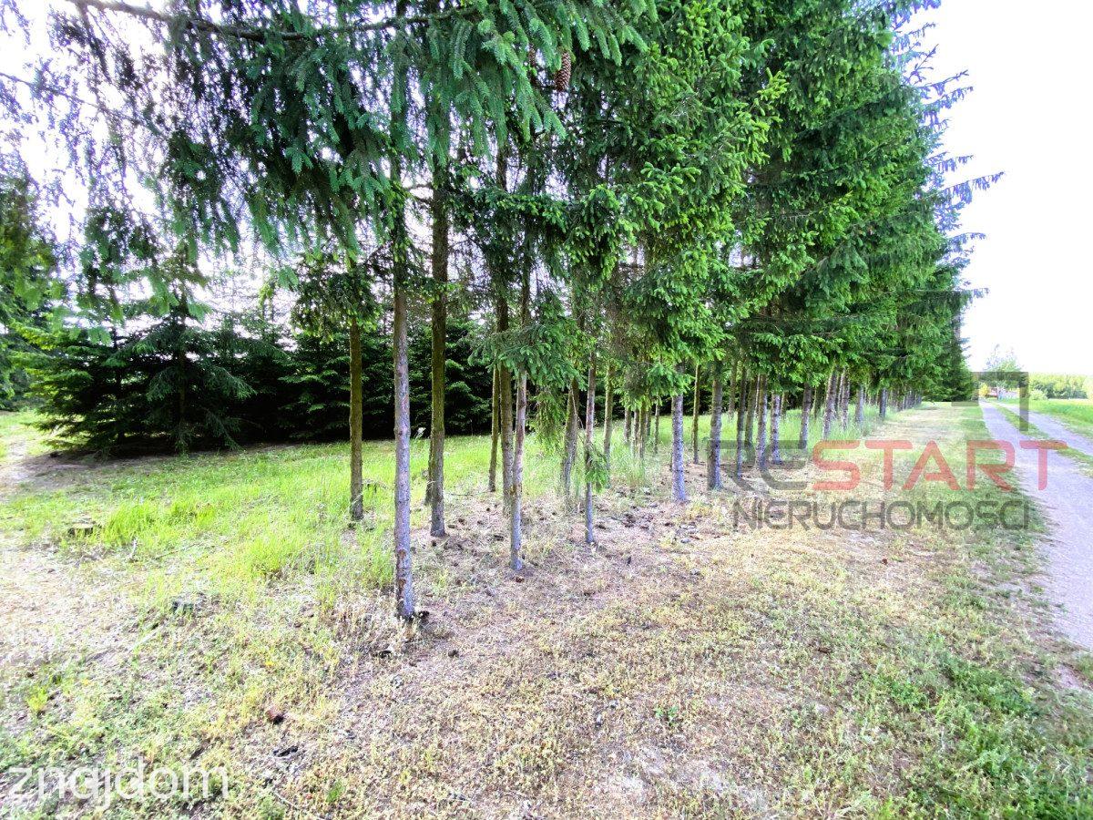 Działki budowlane na sprzedaż–Gąba, gm. Mszczonów - zdjęcie 7