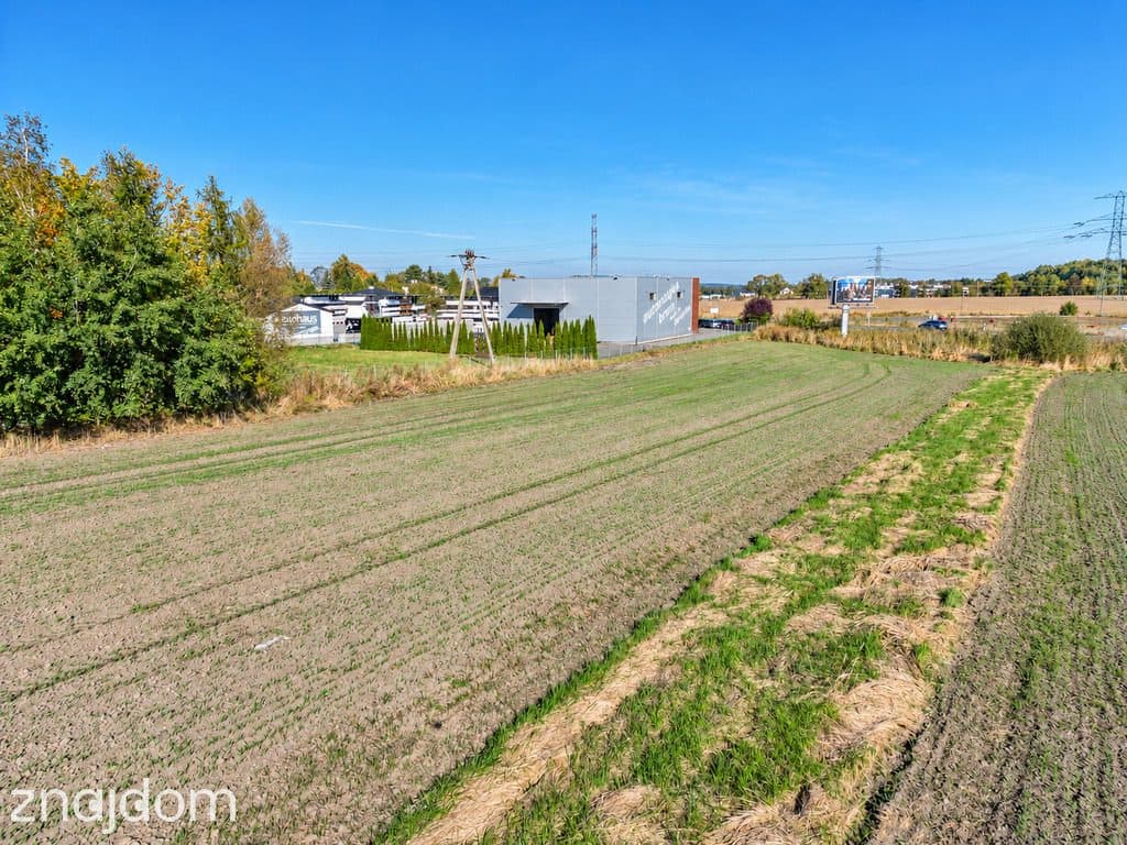 Działka 1467 m² – Mikołów, ul. Gliwicka - zdjęcie 10