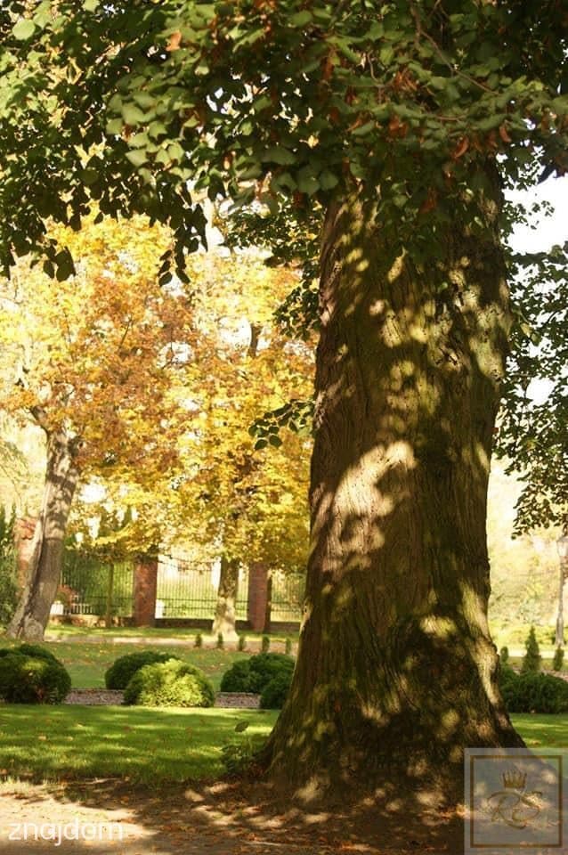 Okol. Poznania dochodowy pałacyk na sprzedaż - zdjęcie 8