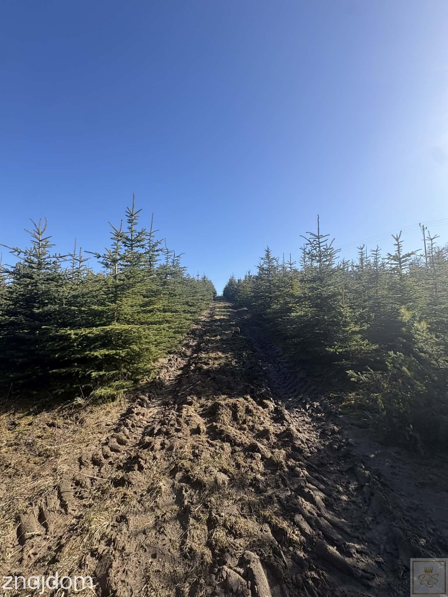 Sielski klimat, Natury 2000 tylko 35 km od Poznania - zdjęcie 3