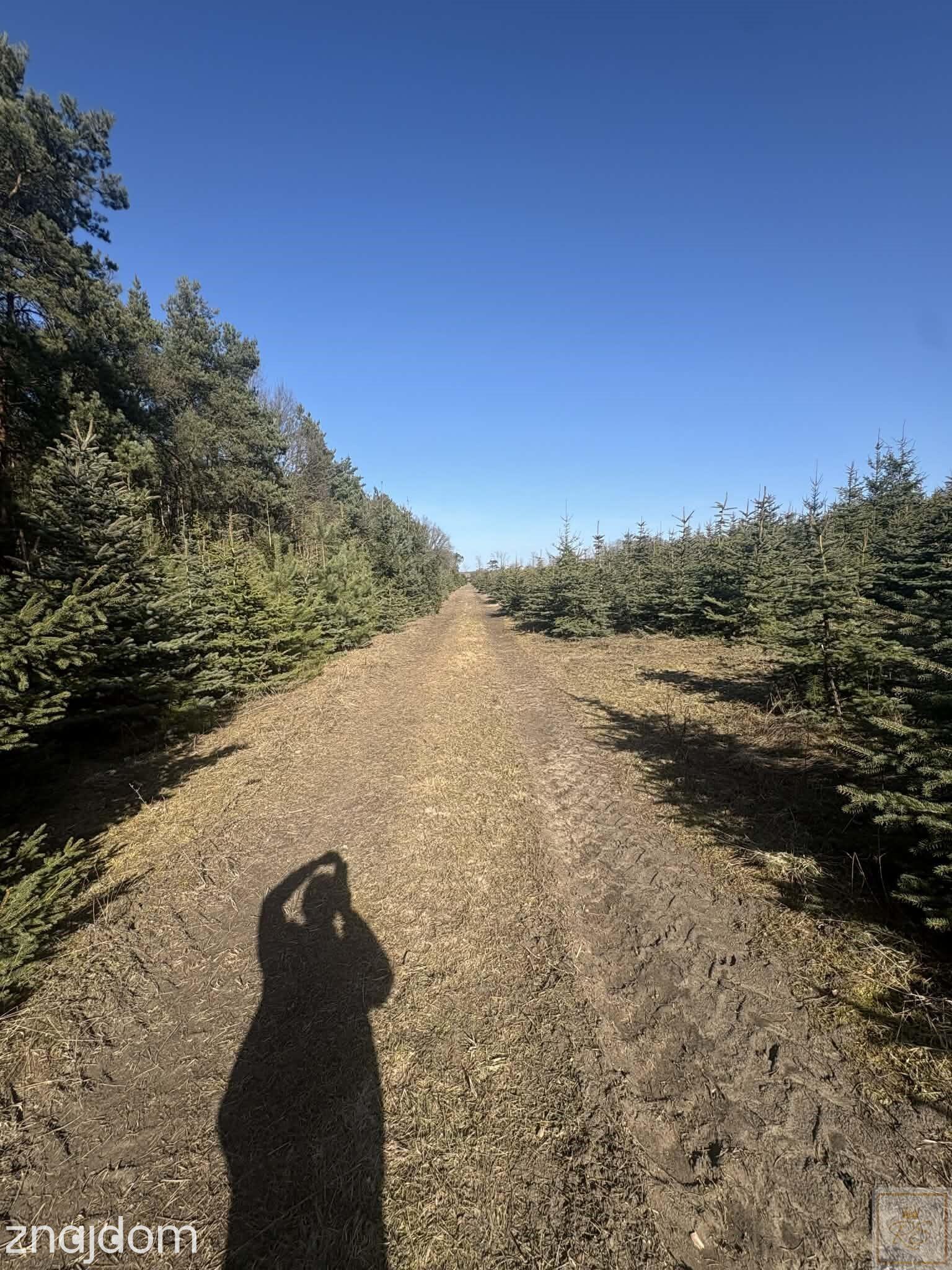 Sielski klimat, Natury 2000 tylko 35 km od Poznania - zdjęcie 4