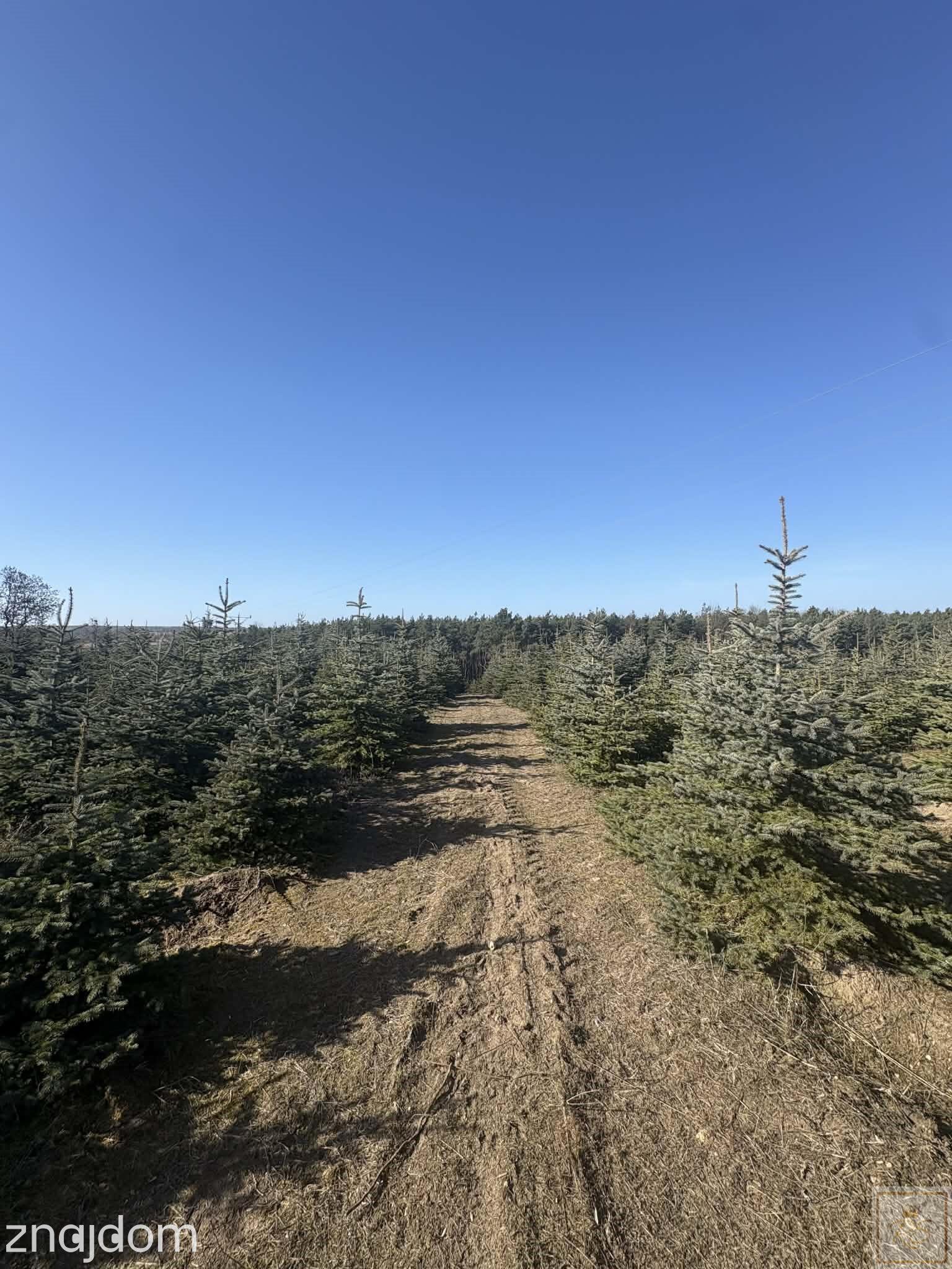 Sielski klimat, Natury 2000 tylko 35 km od Poznania - zdjęcie 5