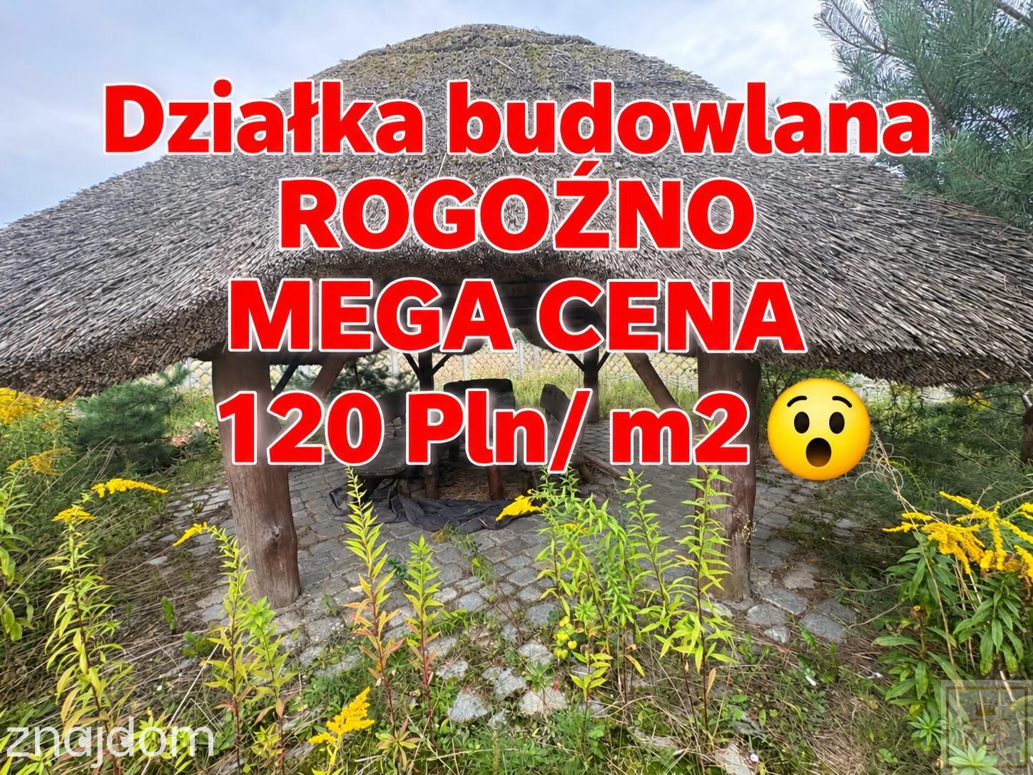 Działka z widokiem na las i rzekę Wełnę