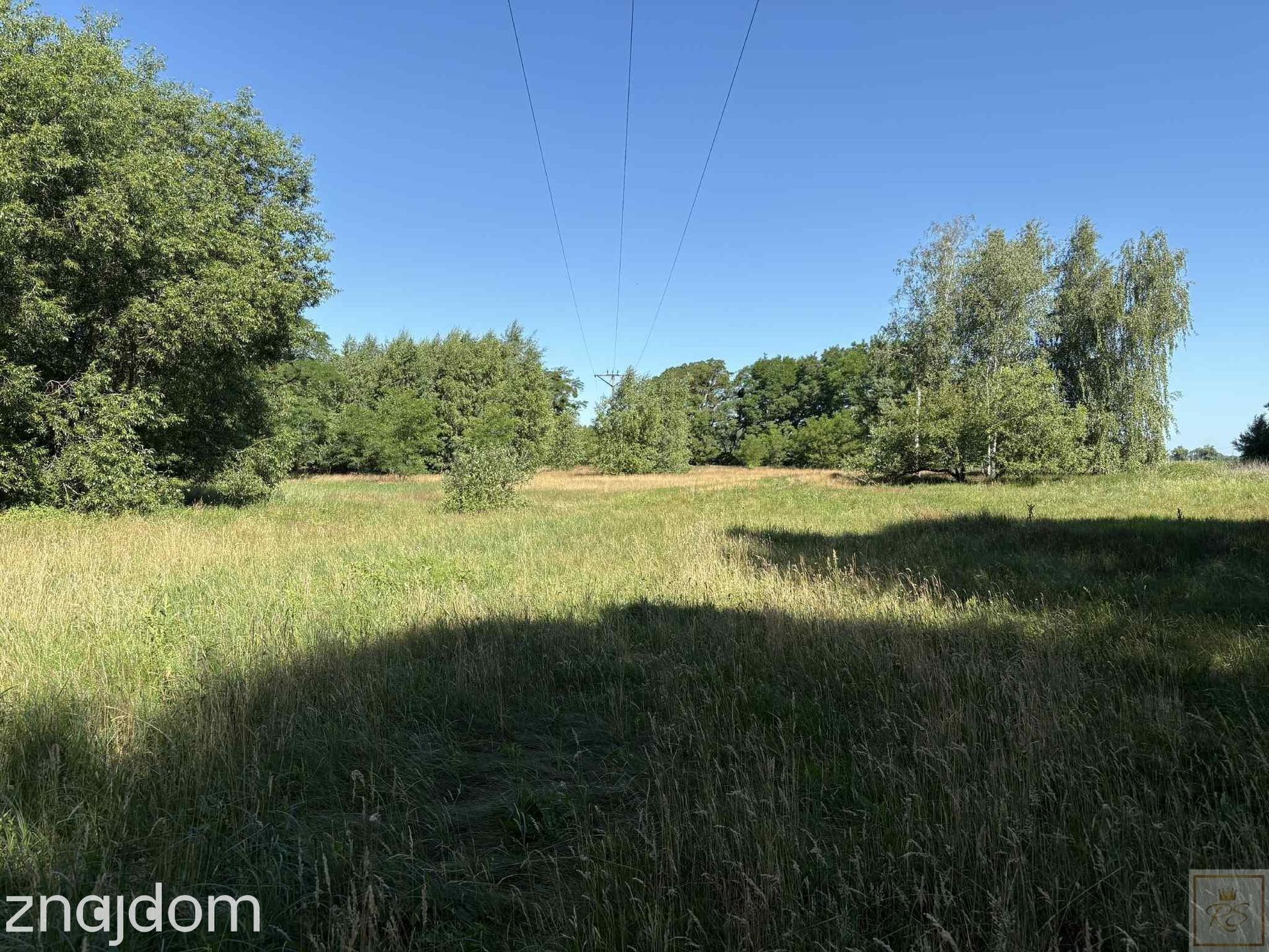 Malownicze siedlisko blisko Szamotuł - zdjęcie 4