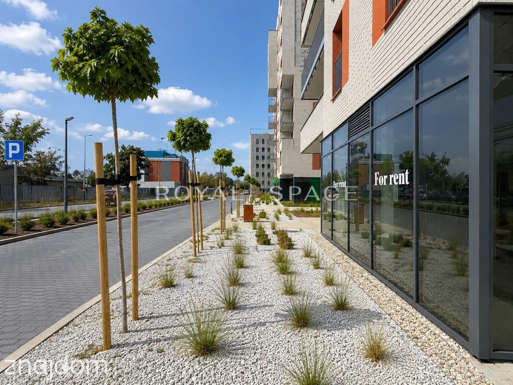 Lokal z dużymi witrynami | Parking | Bonarka - zdjęcie 18