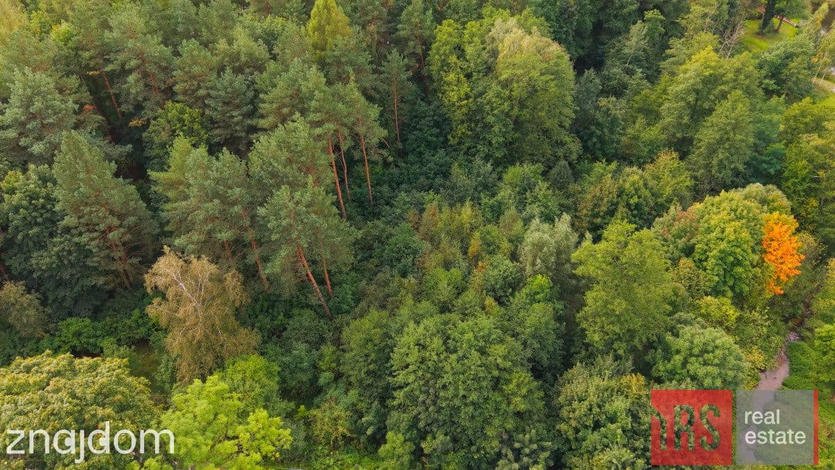 Działka budowlana 2982 mkw - Radziejowice, - zdjęcie 7