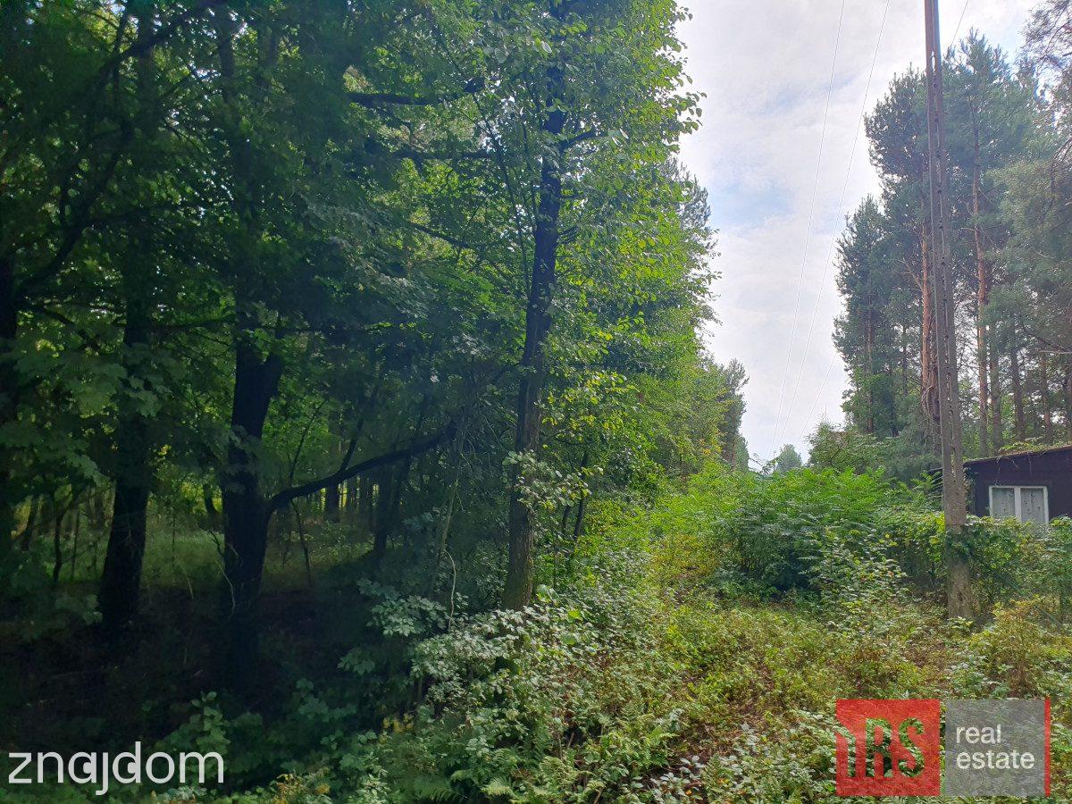 Duża działka 2801 m2, blisko rzeki Wilga, Za Jazem - zdjęcie 6