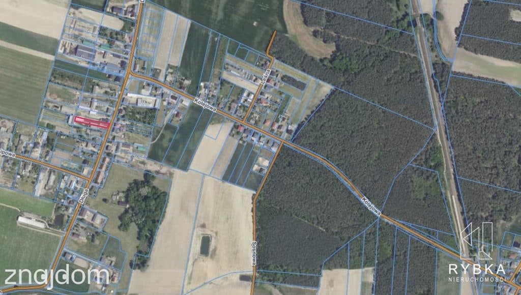 Hala produkcyjna, magazyny, biuro, działka 2533 m² - zdjęcie 6