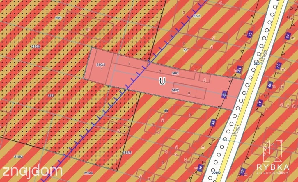 Dom, magazyny, biuro, działka 2533 m² - zdjęcie 5