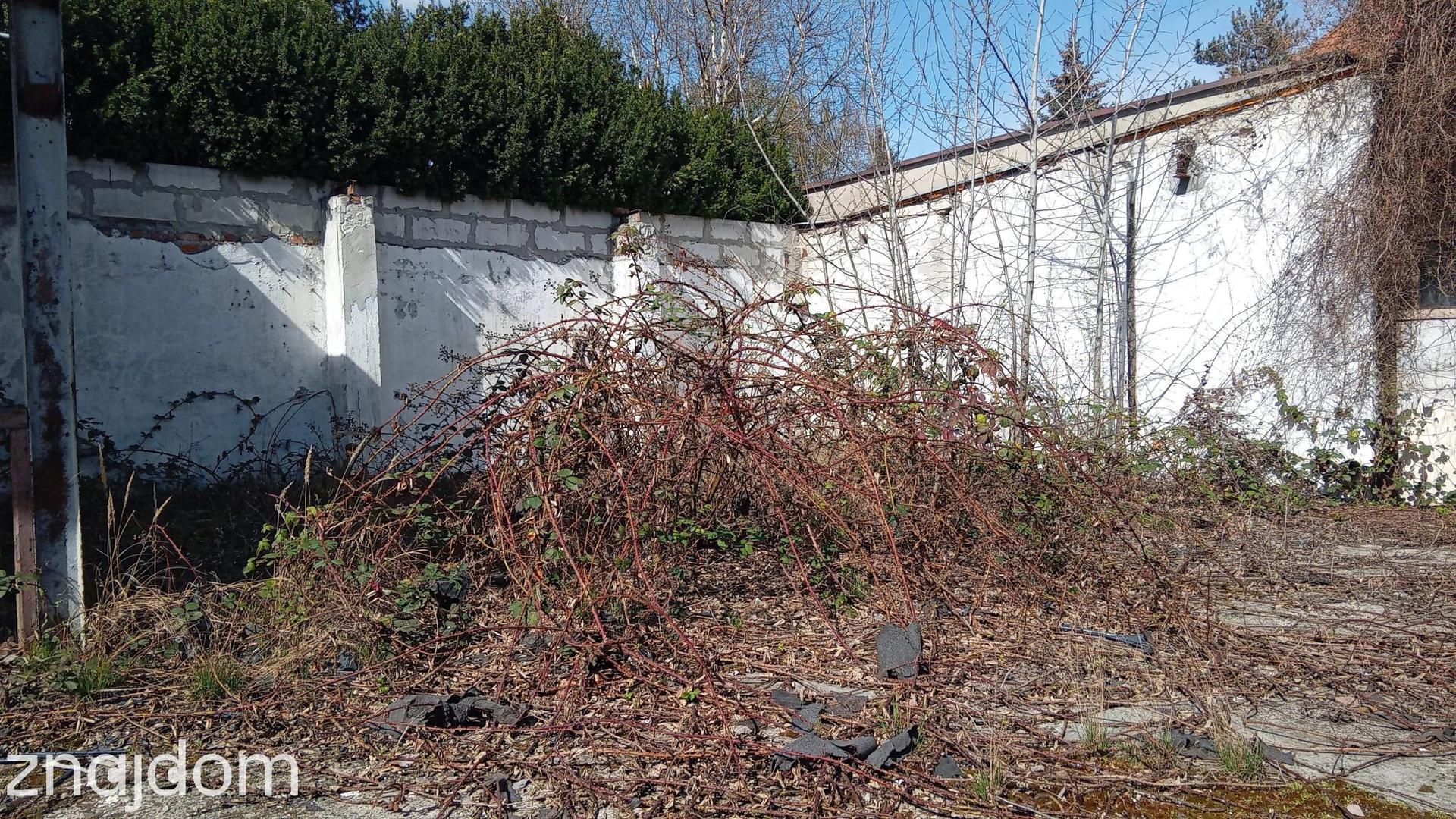 Dom do remontu / działka 735m2 /widok na Odrę/Karłowice - zdjęcie 8