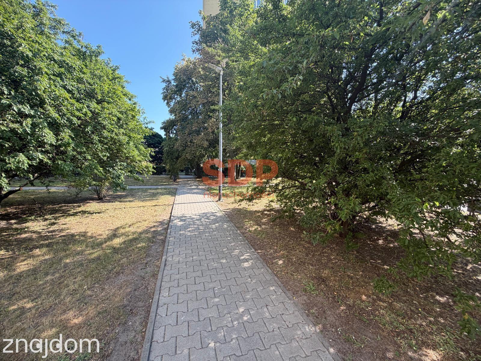 2 osobne pokoje | 45,4 m2 | super lokalizacja | do remontu - zdjęcie 12