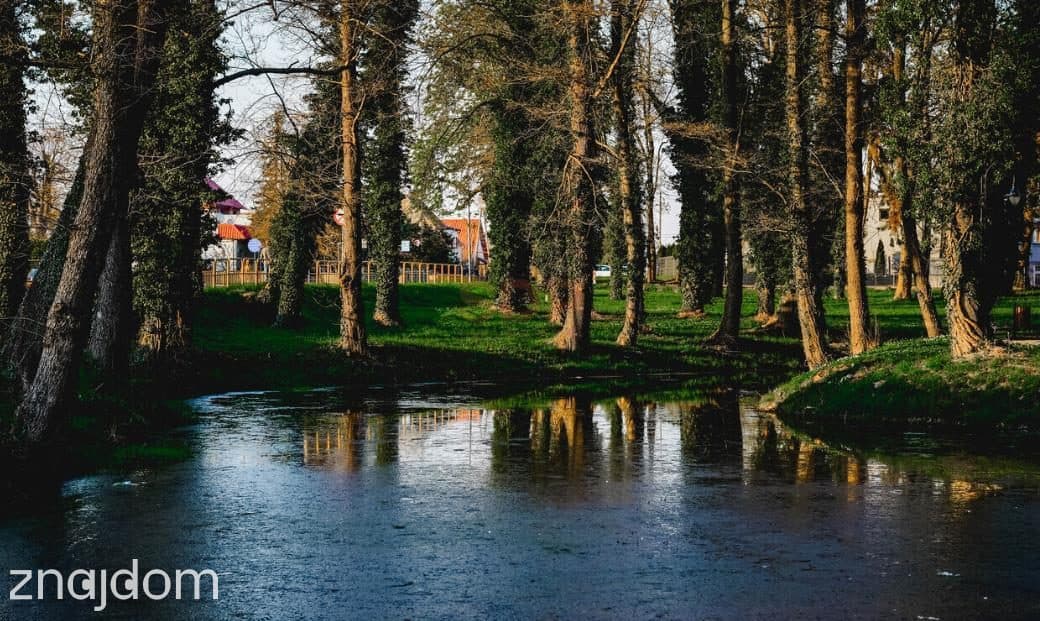 Działka przemysłowo- usługowa Radwanice - zdjęcie 3