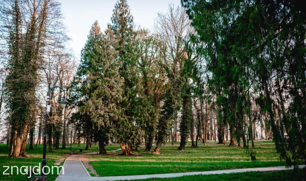 Działka przemysłowo- usługowa Radwanice - zdjęcie 4
