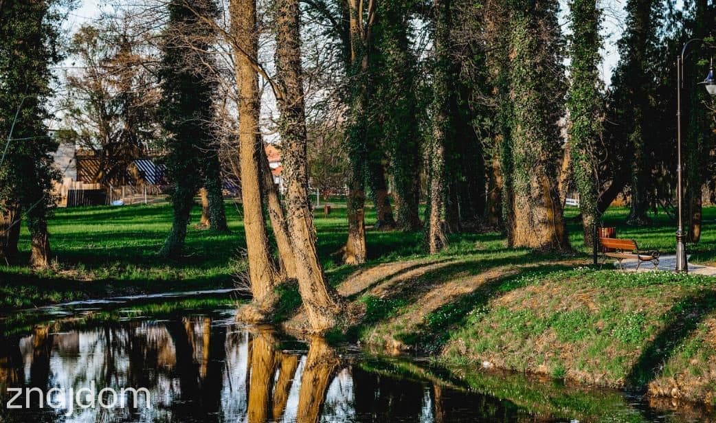 Działka przemysłowo- usługowa Radwanice - zdjęcie 5