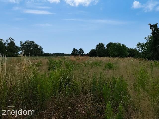 Działka 1800 m2 z możliwością zabudowy, media w drodze - zdjęcie 6