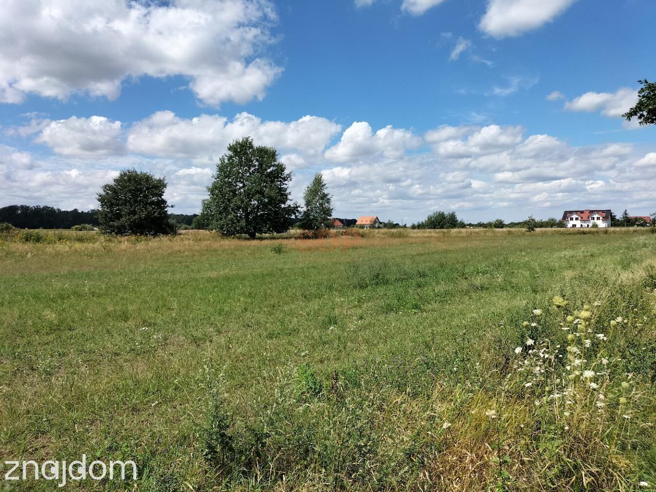 12.554 m2, siedliskowa (inwestycyjna) - zdjęcie 2