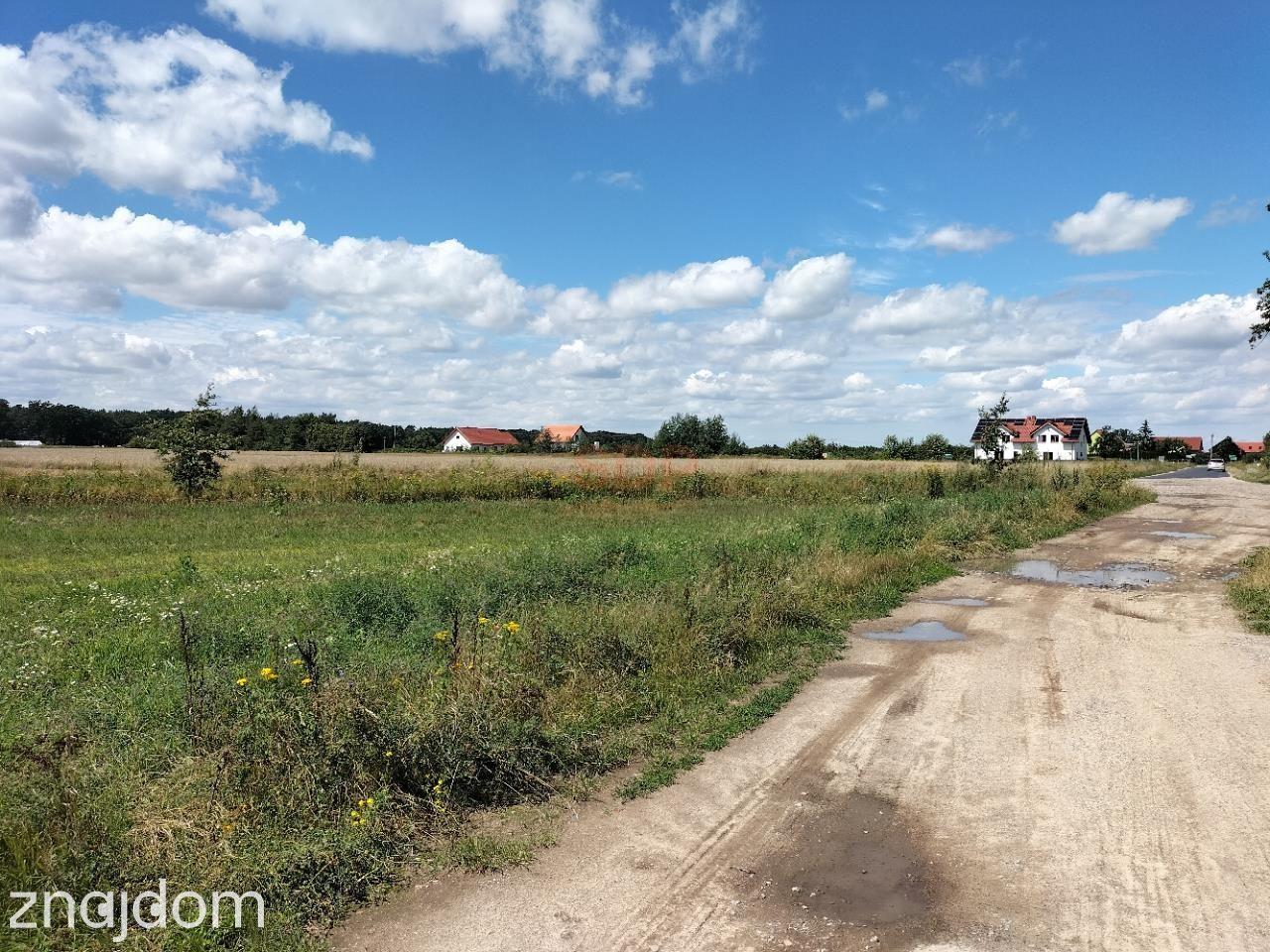 3.000 m2, siedliskowa, woda i prąd - zdjęcie 2