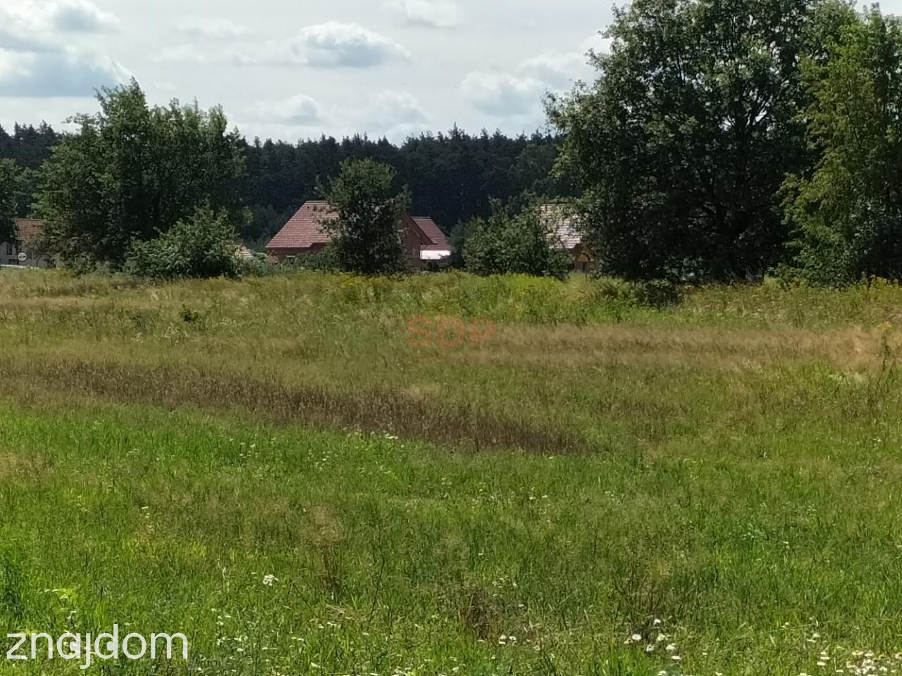 3.000 m2, siedliskowa, woda i prąd - zdjęcie 3
