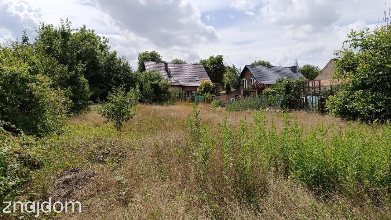 Kotowice, 1600 m2 z domem, woda, prąd, poma ciepła - zdjęcie 3